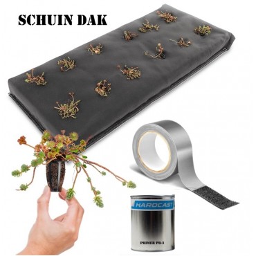 Groendakpockets schuin dak